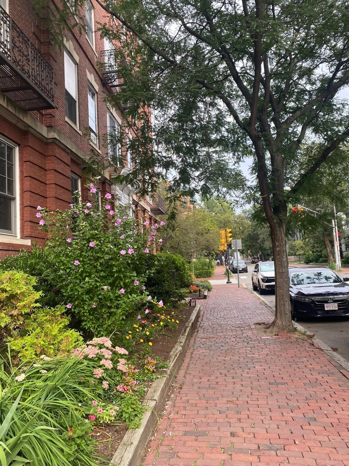 315 Harvard St unit 1, Cambridge, MA 02139 - photo 1