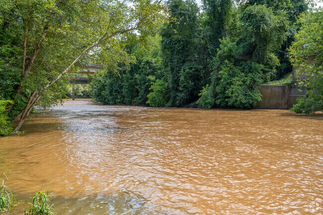 Middle Oconee River runs directly alongside of Ben Burton Park.