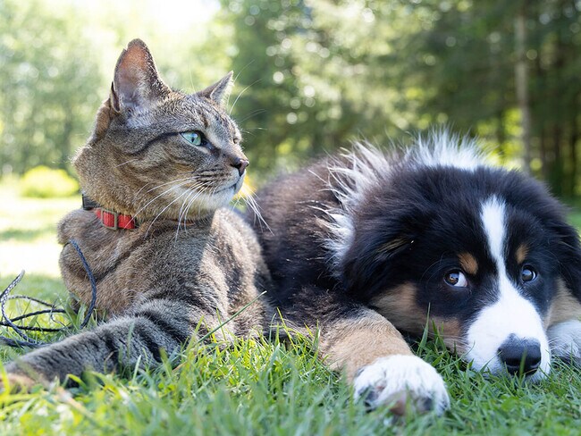 Heritage Knoll, Kettering, OH 45440 - photo 4