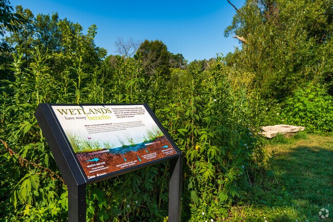 Natural wetlands teaming with wildlife border the Golden Valley neighborhood.