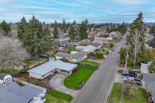 Mid-Century rancher homes sit on well-appointed lots lined with evergreens.