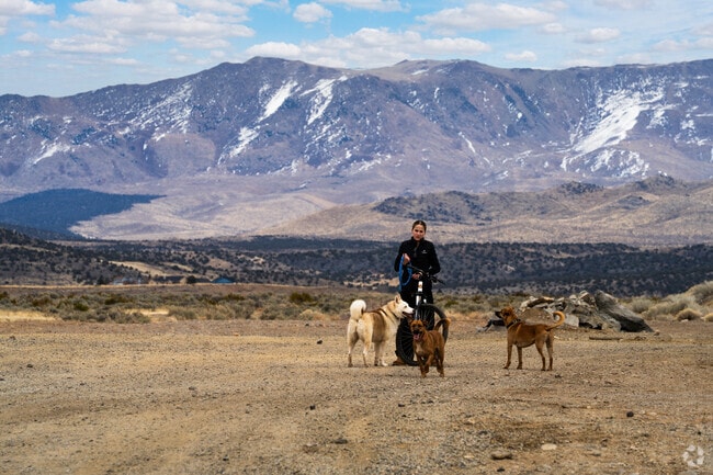 Hiking and outdoor exploration are very popular activities in Gardnerville.