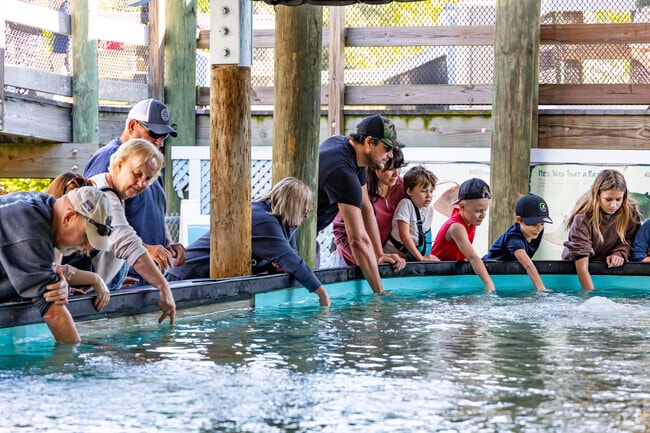 Apollo Beach is a great place to learn about marine life.