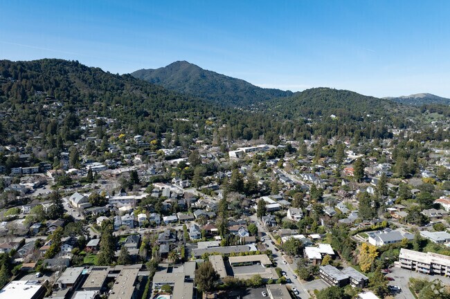 The South Magnolia neighborhood sits between the towns of Corte Madera and Larkspur winding up roads toward Mount Tamalpais.