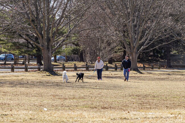For dog owners, Quail Ridge Dog Park provides a cozy community space, while Morris Davison Park features a playground, walking paths, and sports facilities.