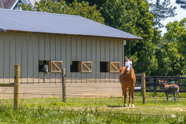 Rolling farmlands surround Scottsville, Virginia, stretching toward the Blue Ridge foothills.
