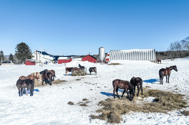 Presque Isle is a rural town, where vast fields and sprawling farmlands stretch to the horizon, painting a picture of agricultural heritage and the quiet beauty of northern Maine.