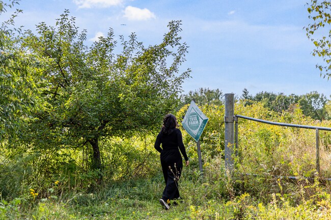Enjoy a walk through the Buck Hill Conservation Area in Veazie.