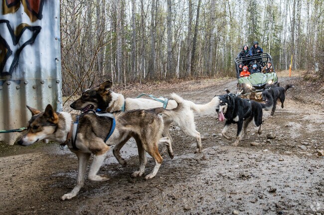 Iditarod dogsled mushers pull tourists on an ATV for training in the off season near Knik-Fairview.