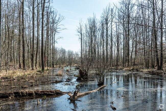 Bloomingdale Park has 135 acres of green space and wetlands for Woodrow residents.