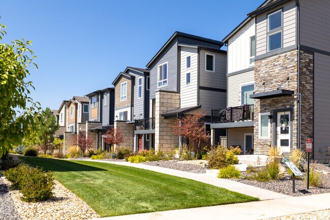 There are new contemporary homes in the Interquest neighborhood.