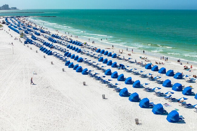 The beach is your playground in the Clearwater Beach neighborhood.
