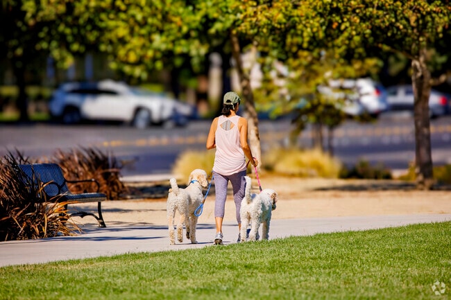 Spend time with your pets at Roosevelt Neighborhood Park in Central Modesto, Calif.