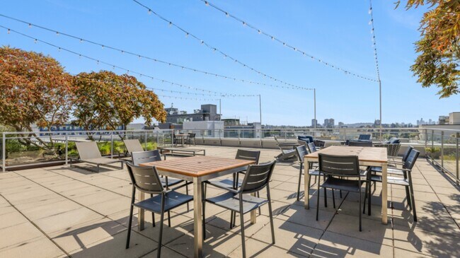 Eleanor, Seattle, WA 98115 - photo 3