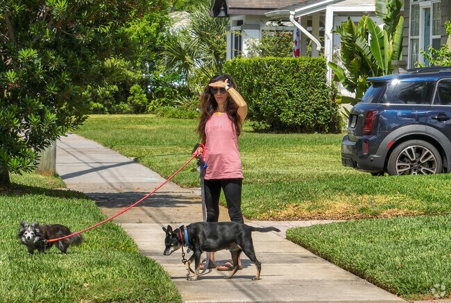 Princeton/Silver Star is a dog friendly place with College ark nearby.