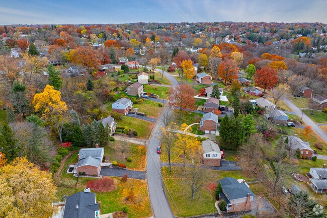 Wooded streets create a serene setting for local Upper St Clair homes.