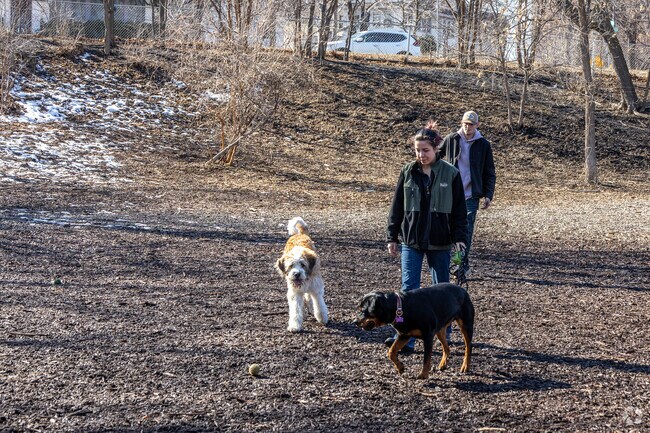 Dogs can meet old friends and make new ones at the Franklin Off Leash Dog Park.
