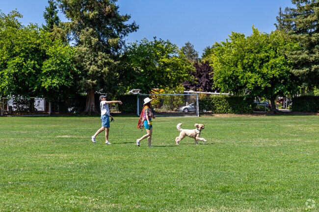 Pet ownership is common in Charleston Gardens.