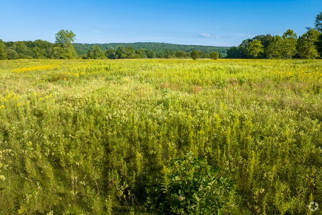 You’ll never be too far from nature when you live in Kirtland.