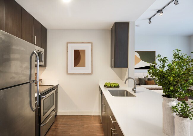 James and Harrison Court, Boston, MA 02118 - photo 6