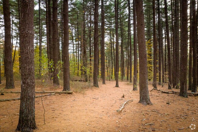 Sciutate has a robust network of nature trails where residents can enjoy the fall foliage.
