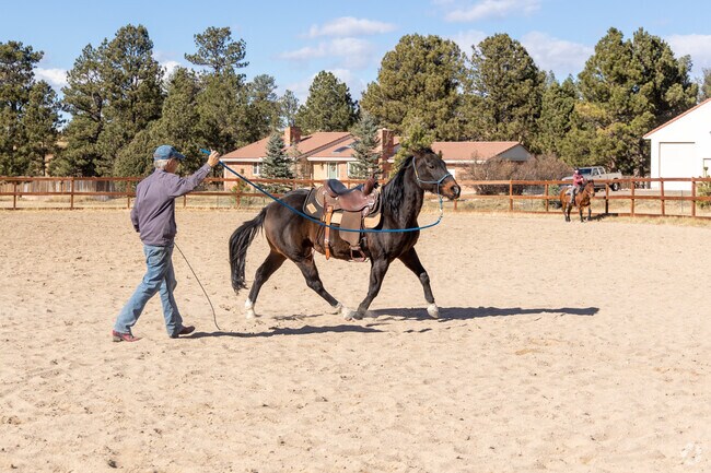 Parker is very much a horse friendly city.