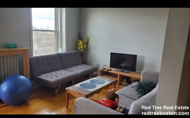 154 Harvard St, Brookline, MA 02446 - photo 2