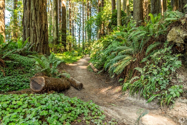 Myrtletown is a suburban paradise situated by the redwood forests.