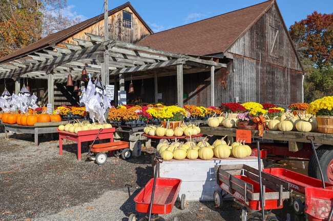 Visit Paul Bunyan's Farm & Nursery for great finds in Westfover.