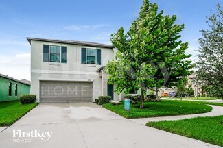 12618 Lemon Pepper Dr, Riverview, FL 33578