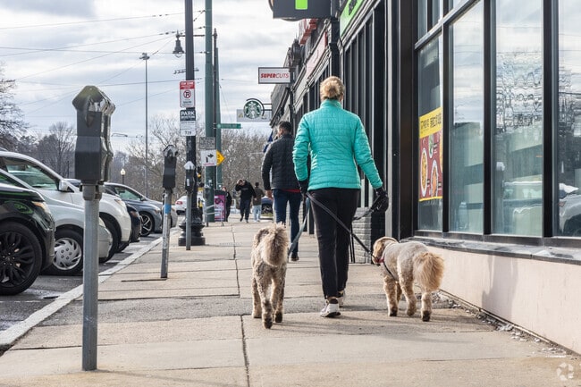 Furry residents can mingle in Cleveland Circle before heading to the park for a run.
