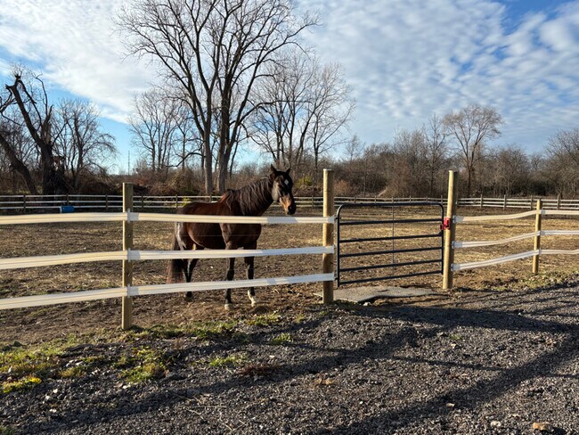 5906 Little Turtle Trail, Waterville, OH 43566 - photo 5
