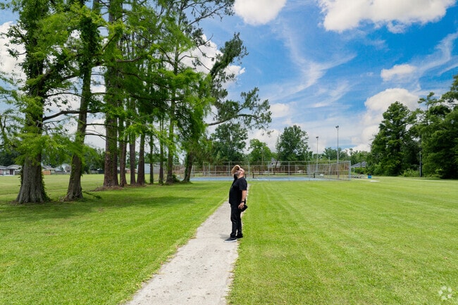 You will find great walkways in West End that are perfect for spotting birds.