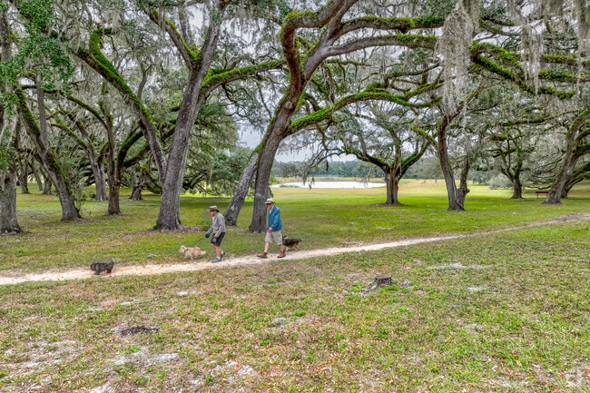 The scenery is endless amongst the century years old oak trees in Dunnellon.