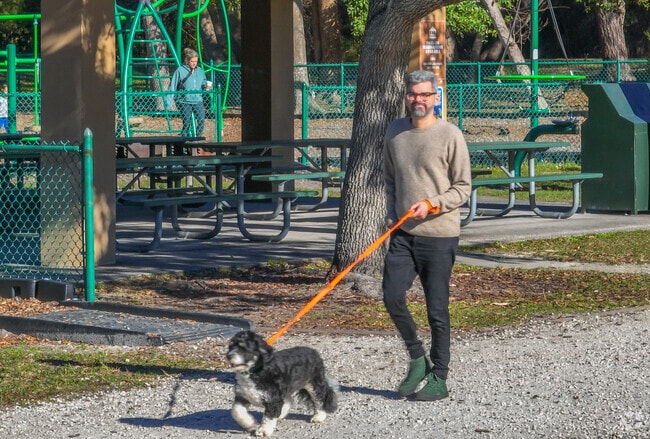 Fern Park has plenty of dog friendly areas for your furry friends.