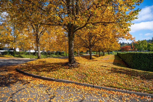 Beautiful fall trees brighten the Canyon Park Business Center.
