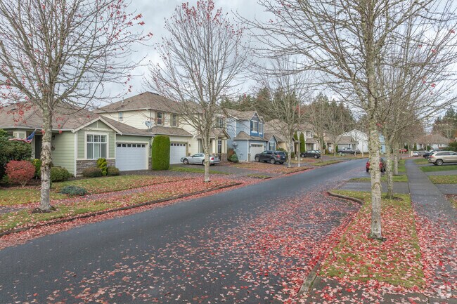 You won't find many streets without trees in Edgewater WA.
