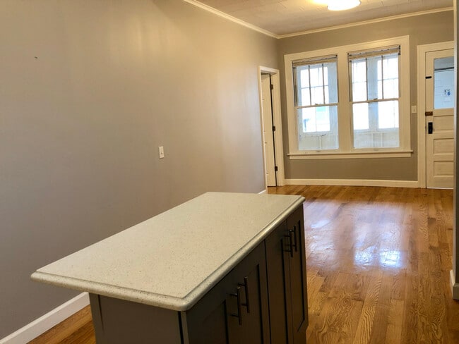 2156 W 18th Place unit 1R, Chicago, IL 60608 - photo 3