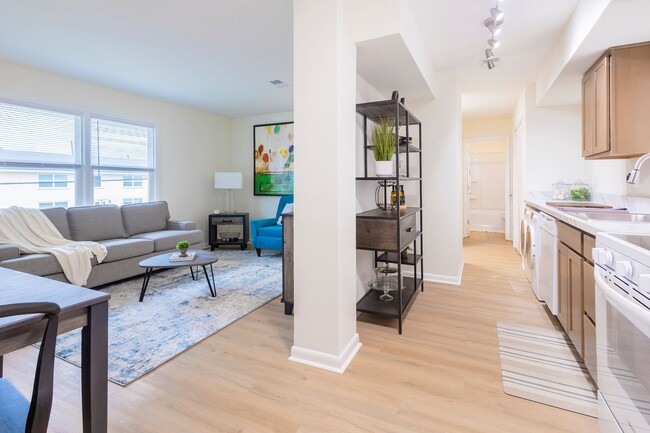 Living Room & Kitchen