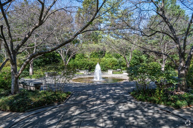 Mary's Garden is a small oasis on the National Basilica grounds in Catholic University.