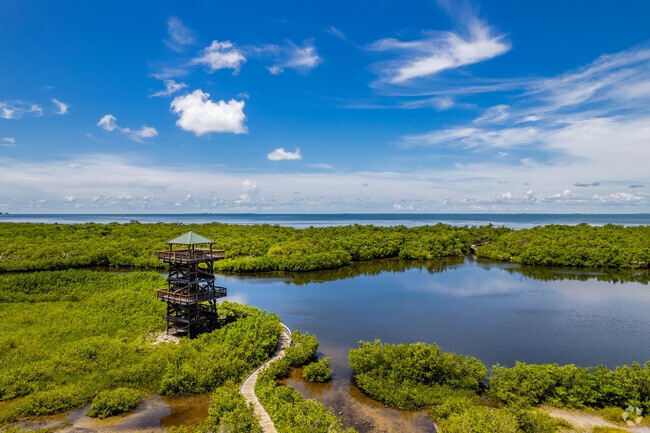 Robinson Preserve is a nature lovers' dream with acres to explore and an observation tower.