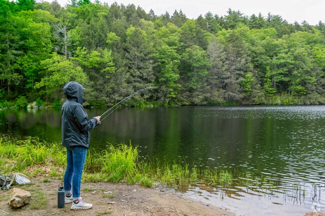 Bigelow Pond is a quiet spot in Union where locals enjoy fishing from shore or by kayak.