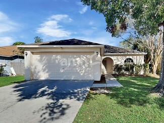 11536 Wellman Dr, Riverview, FL 33578