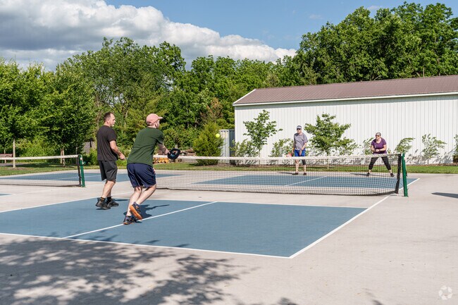 Pickleball is a popular pastime for many visitors to Ellis Woods Park.