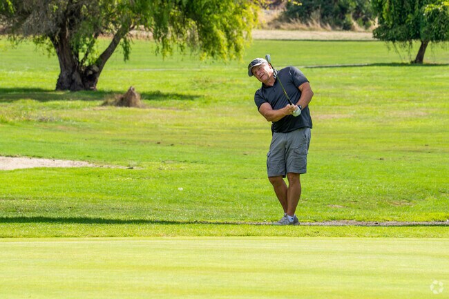 Visit Stewart Park Golf Club for a memorable round near Eden Orchards.