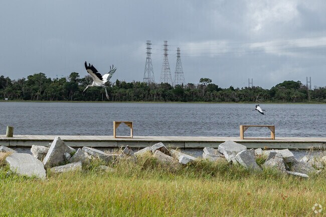 New Berlin is surrounded by water,  and it attracts all kind of beautiful sea birds.