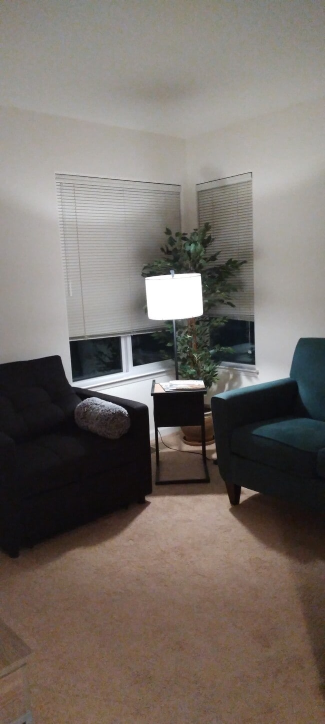 Livingroom Chair and Sofa