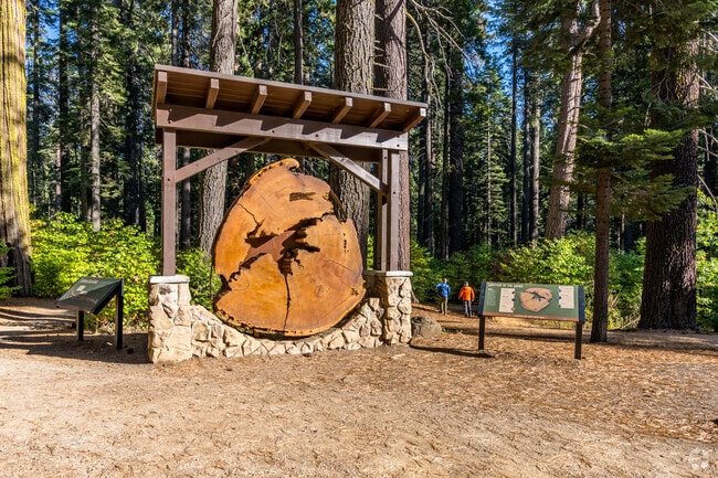 Calaveras Big Trees State Park preserves a mixed conifer forest with two giant sequoia groves.