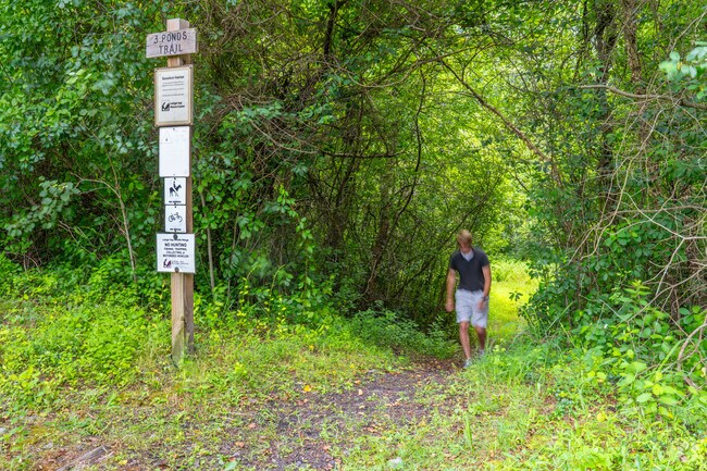 Lush hiking trails are always nearby for Lower Towamensing residents.