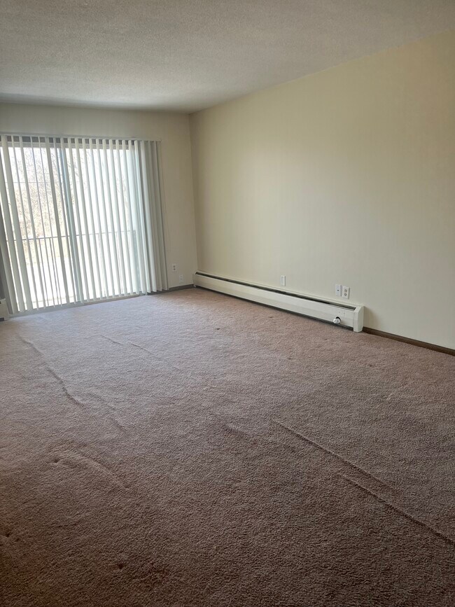 709 11th Ave S unit 6, Hopkins, MN 55343 - photo 5